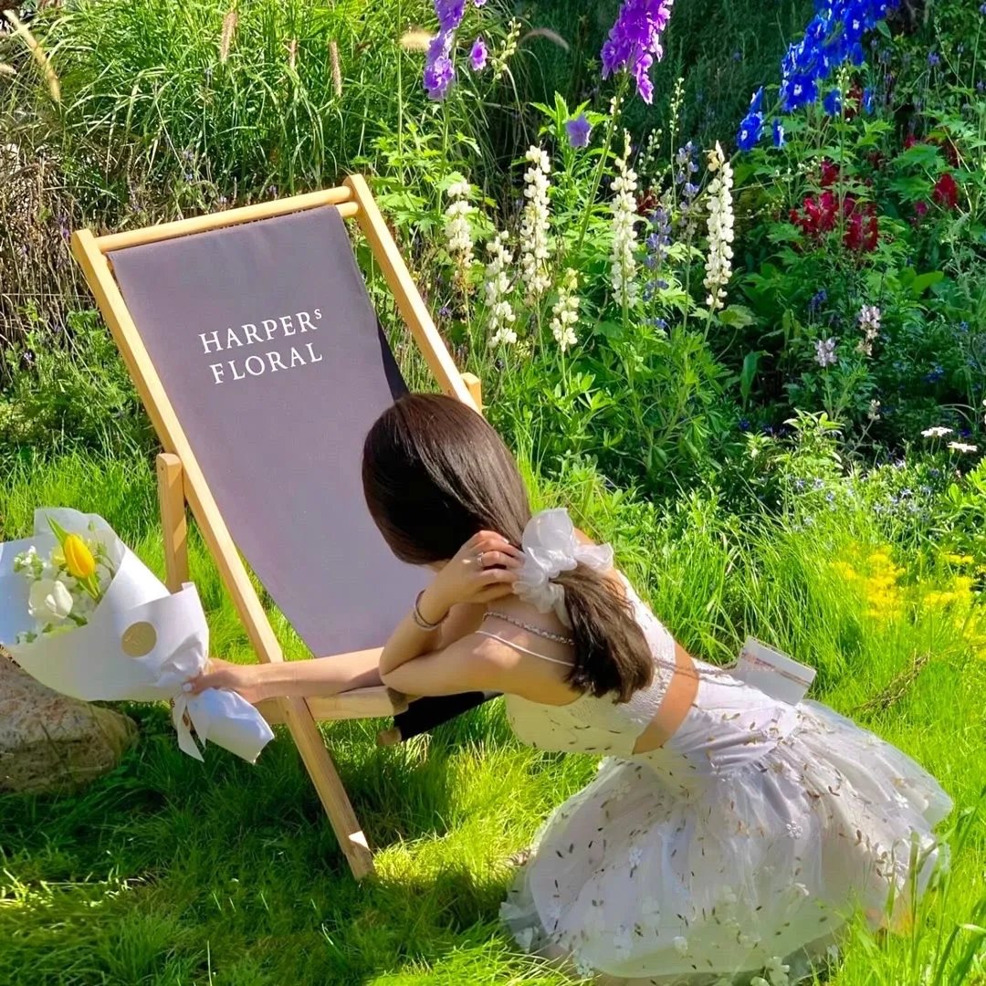 剑风传奇 黄金时代篇1：霸王之卵