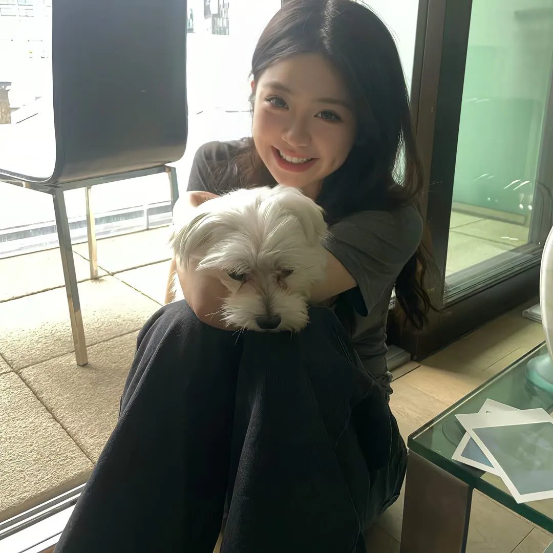 抗日奇侠之武功队